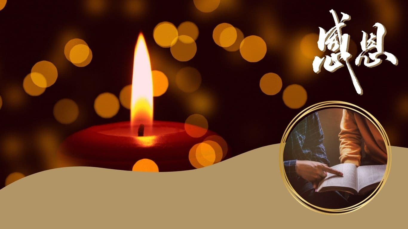 多感恩改善家庭关系